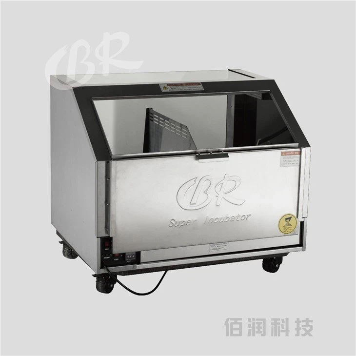 04 (1)
